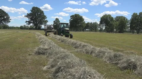 Haying square bales with a tractor and trailer. Stock Footage 61399337