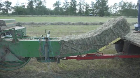 Haying square bales with a tractor and trailer. Stock Footage 61399441
