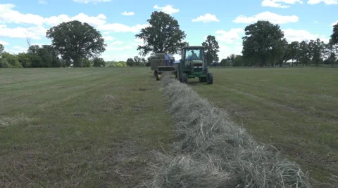 Haying square bales with a tractor and trailer. Stock Footage 61542388