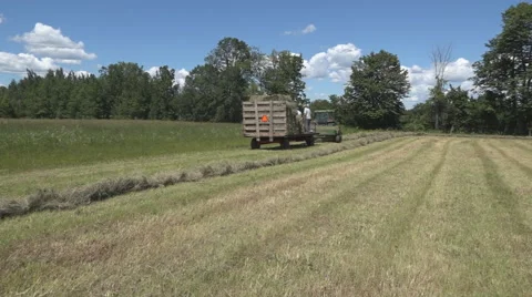 Haying square bales with a tractor and trailer. Stock Footage 61546264