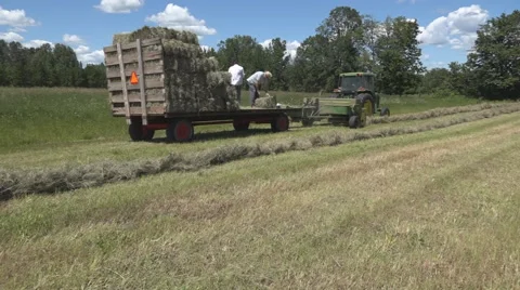 Haying square bales with a tractor and trailer. Stock Footage 61546449