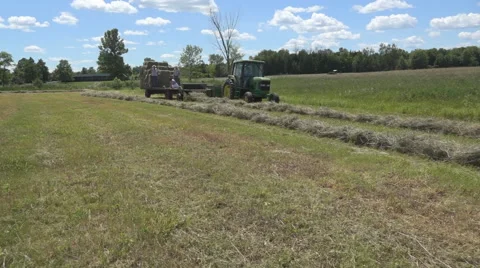 Haying square bales with a tractor and trailer. Stock Footage 61546504