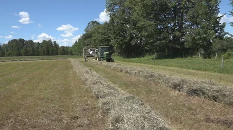 Haying square bales with a tractor and trailer. Stock Footage 61546572