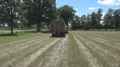 Haying square bales with a tractor and trailer. Stock Footage 61547822
