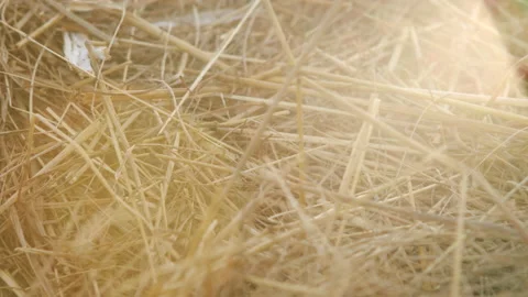 Hayloft dry grass. Large stack of hay or straw close up view. Stock Footage 139754643