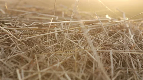 Hayloft dry grass. Large stack of hay or straw close up view. Video stock 139760032