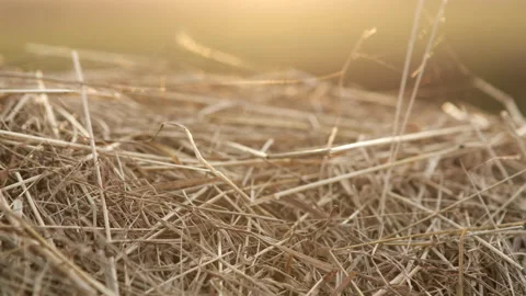 Hayloft dry grass. Large stack of hay or straw close up view. Video stock 139761505