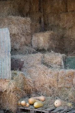 The hayloft Фото