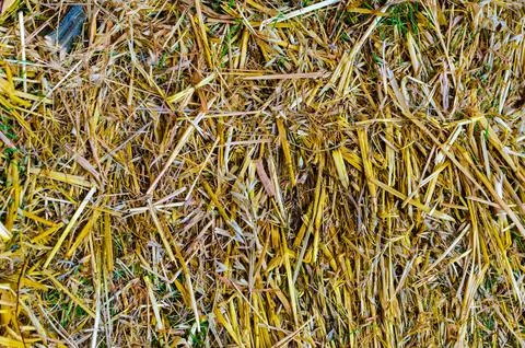 Hayloft texture close up background Stock Photos