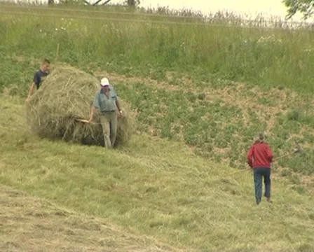 Haymaking Stock Footage 8686898