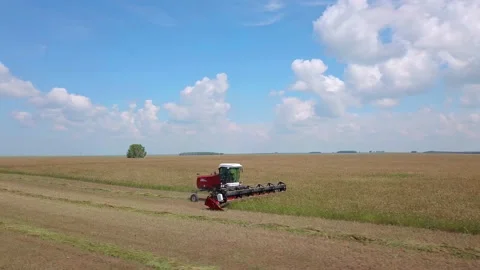 Haymaking Stock Footage 196868922