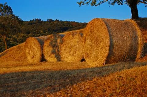 Haymaking - italy Stock Photos