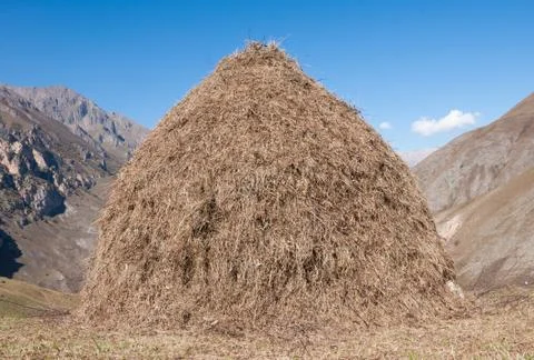 Haymaking in the mountains Stock Photos