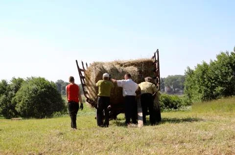 Haymaking Stock Photos
