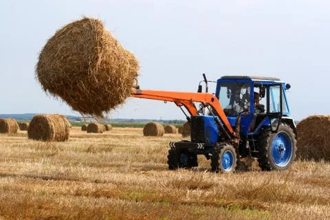 Haymaking Stock Photos