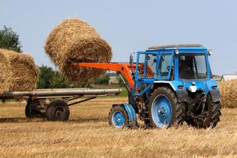 Haymaking Stock Photos