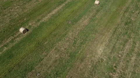 Haymaking processed into round bales in a field Video stock 91861531