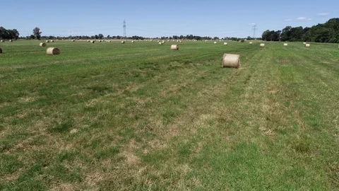 Haymaking processed into round bales in a field Video stock 91861825