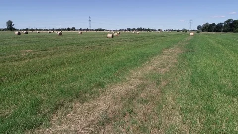 Haymaking processed into round bales in a field Video stock 91861976
