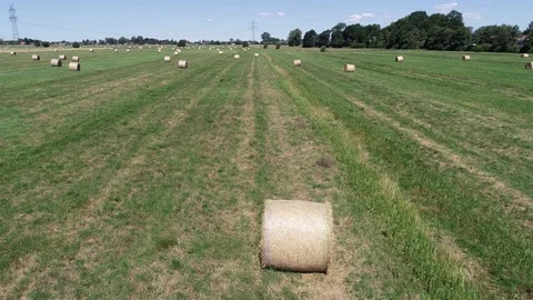 Haymaking processed into round bales in a field Video stock 91862273