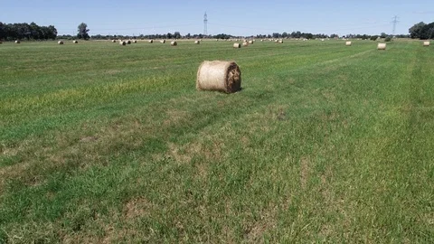 Haymaking processed into round bales in a field Video stock 91862772