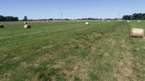 Haymaking processed into round bales in a field Video stock 91863122