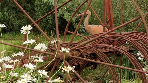 Hayrake at lake Stock Footage 83510565