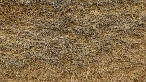 Hayrick background Vídeos de archivo 114289036