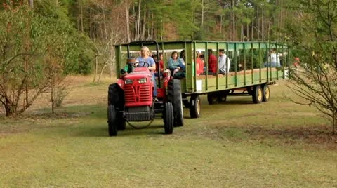 Hayride Wagon Drives By Stock Footage 9085733