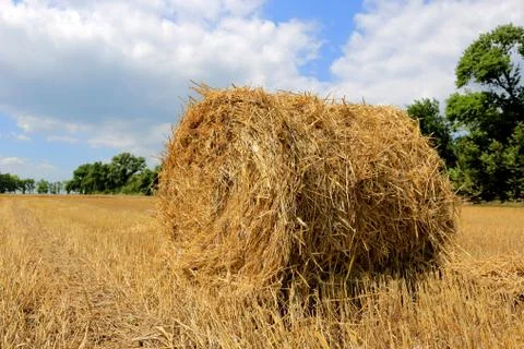 Hayroll on crop field Stock Photos