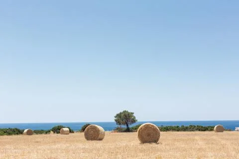 Haystack after harvest Stock Photos