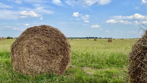 Haystack against the blue sky and other haystacks in the distance Stock Photos