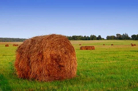 Haystack against the sky. Haymaking time. Stock Photos