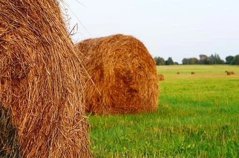Haystack against the sky. Haymaking time. 스톡 사진