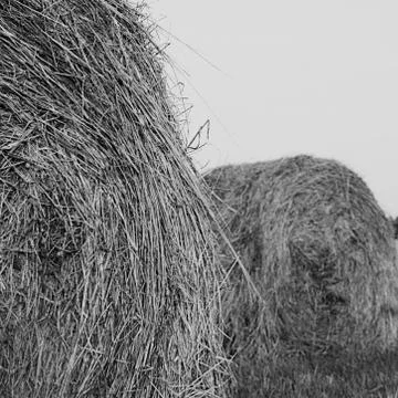Haystack against the sky. Haymaking time. Stock Photos