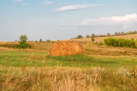 Haystack on an agricultural field at sunset on a summer evening Stock Photos
