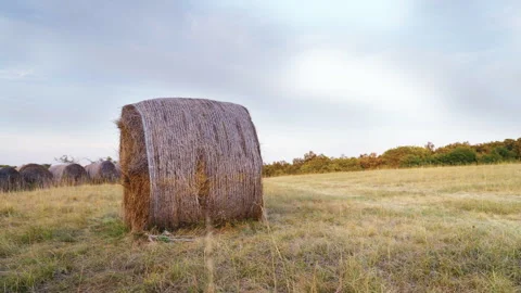 Haystack on agricultural land at summer sunset with blue sky in the background Stock Footage 283268894