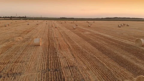 Haystack agrisulture farm field view Stock Footage 93907189
