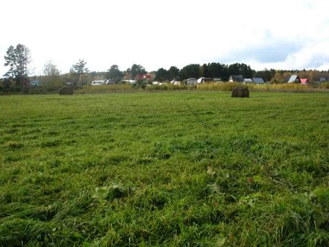 Haystack and field of green grass Stock Photos