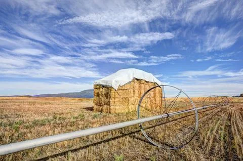 Haystack and irrigation pipe. Stock Photos