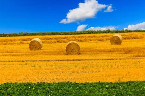 Haystack and wheat field with blue sky. Stock Photos