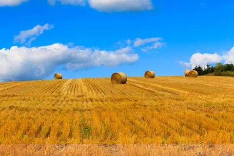 Haystack and wheat field with blue sky. Stock Photos