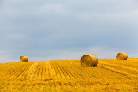 Haystack and wheat field with blue sky. Stock Photos