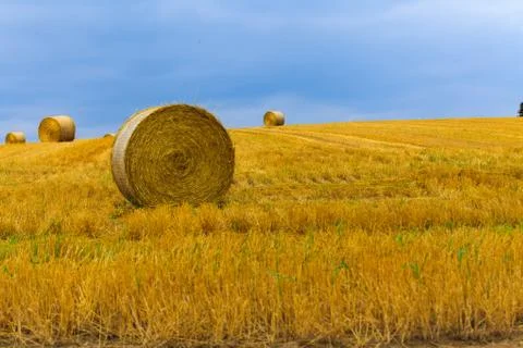 Haystack and wheat field with blue sky. Stock Photos
