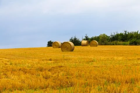 Haystack and wheat field with blue sky. Stock Photos