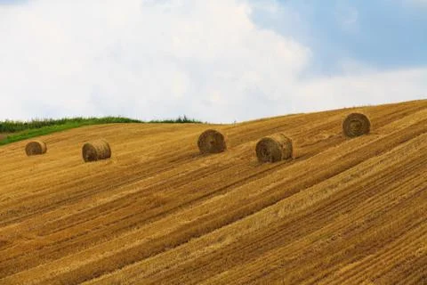 Haystack and wheat field with blue sky. Stock Photos