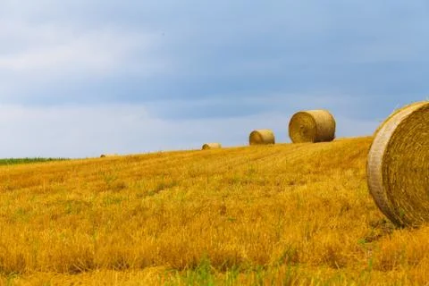 Haystack and Wheat field with blue sky. Foto stock