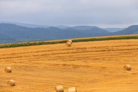 Haystack and Wheat field Stock Photos