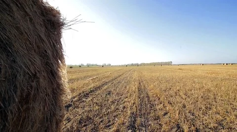 Haystack in autumn summer field Stock Footage 68107237