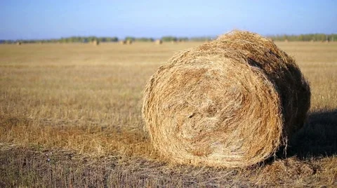 Haystack in autumn summer field Stock Footage 68108104